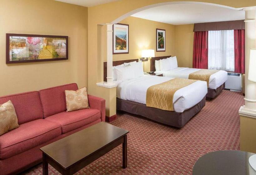 Номер Стандарт, Comfort Inn & Suites Near Burke Mountain