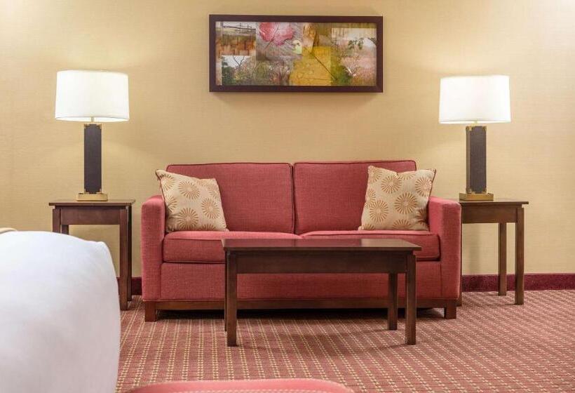 Люкс Адаптированный для Инвалидов, Comfort Inn & Suites Near Burke Mountain