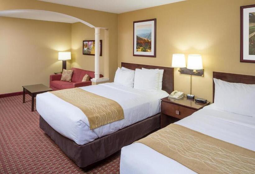 Номер Стандарт Адаптированный для Инвалидов, Comfort Inn & Suites Near Burke Mountain