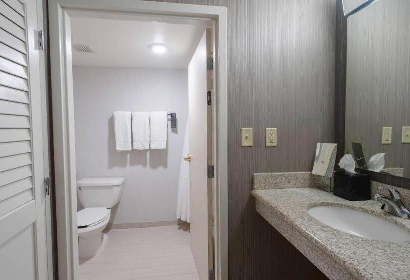 Номер Deluxe, Courtyard By Marriott Cleveland Willoughby