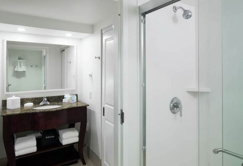 Suite Letto King, Hampton Inn & Suites Memphis Beale Street