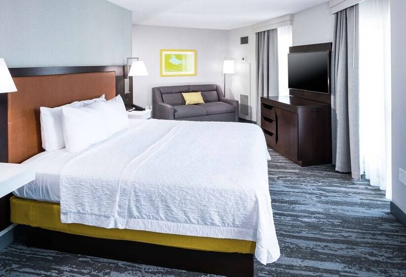 Camera Standard Letto Matrimoniale, Hampton Inn & Suites Memphis Beale Street