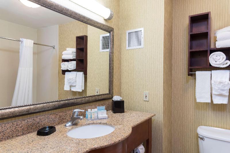 스탠다드 룸 킹사이즈 침대, Hampton Inn East Lansing
