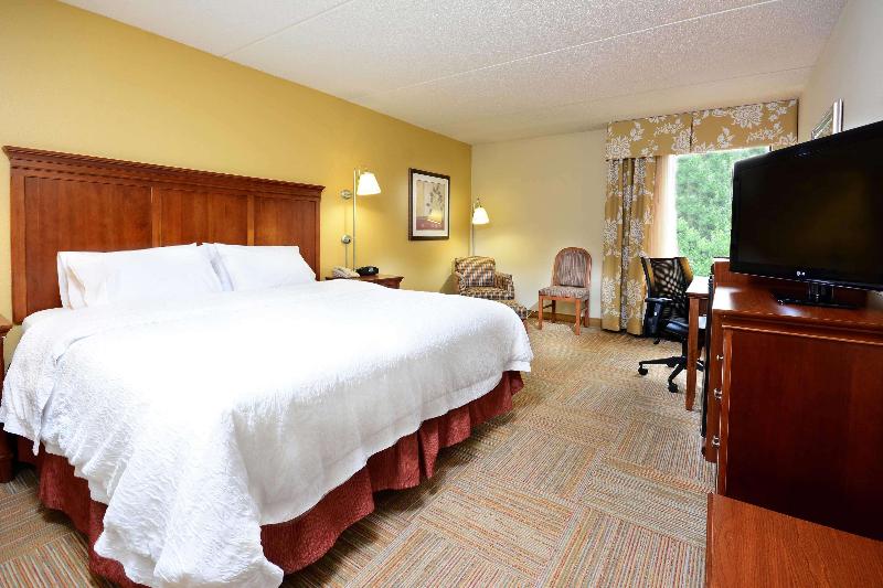 스위트 킹사이즈 침대, Hampton Inn Raleigh Capital Blvd. North
