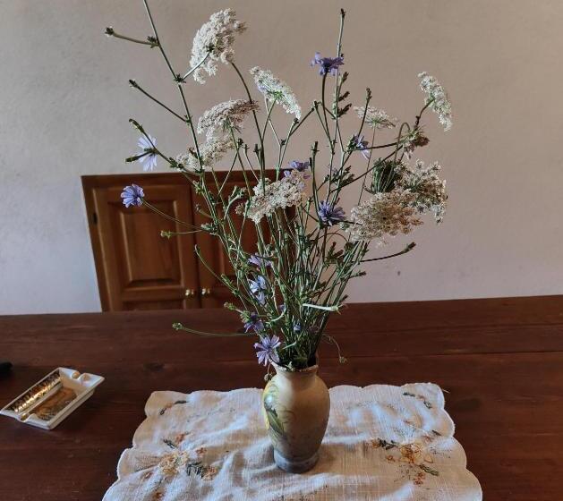 Номер Стандарт, Agriturismo Podere Chiassaie