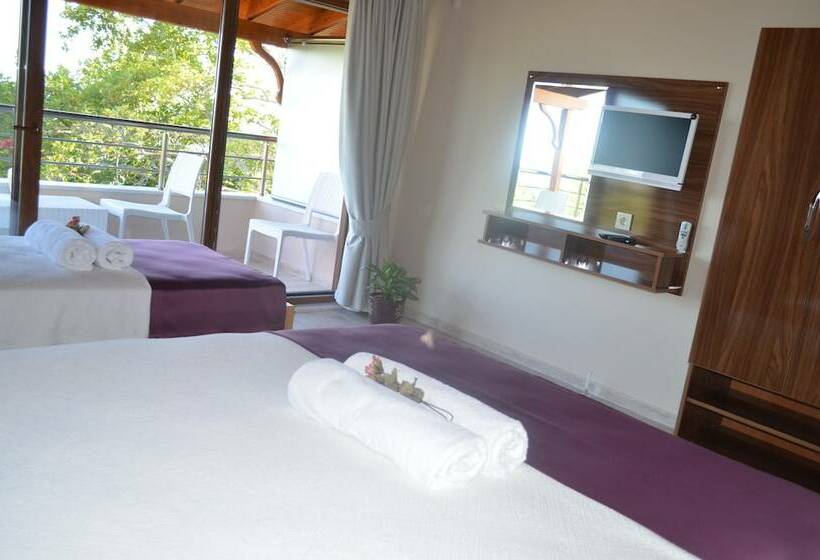Трехместный Номер Deluxe, Ada Palas Otel