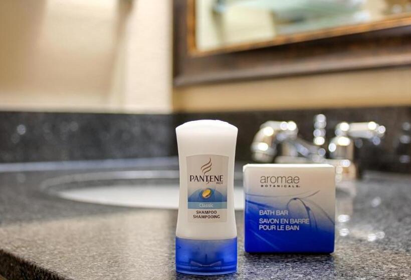 스탠다드 룸, Best Western Bayou Inn And Suites
