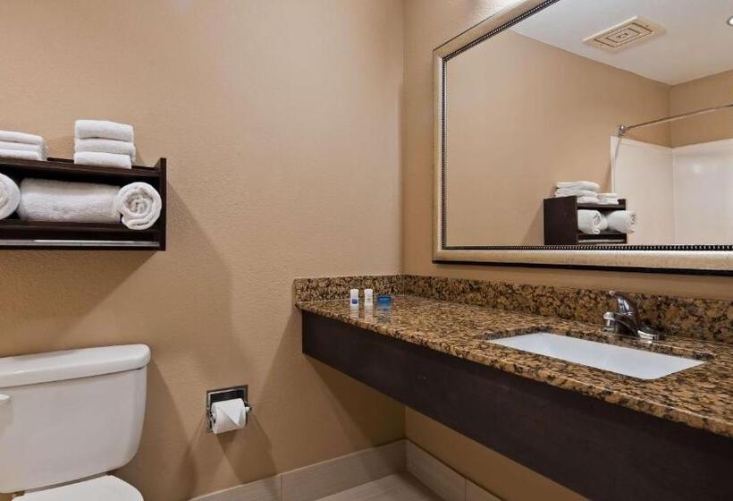 장애인을 위한 스탠다드 룸, Best Western Bayou Inn And Suites