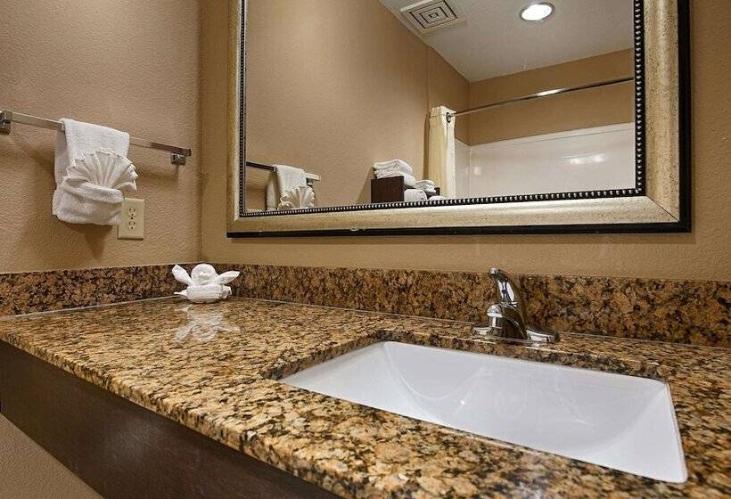 장애인을 위한 스위트, Best Western Bayou Inn And Suites