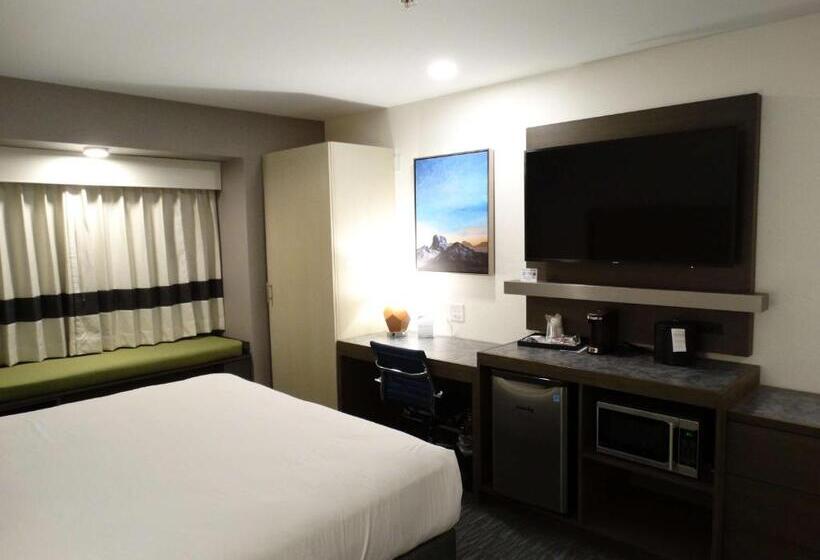 장애인을 위한 킹사이즈 침대 스탠다드 룸, Best Western Plus Yuma Foothills Inn & Suites