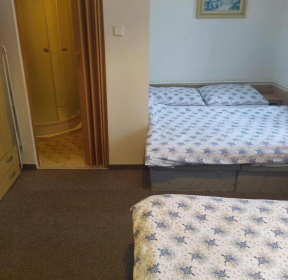 Четырехместный Номер Стандарт, Penzion Borovice