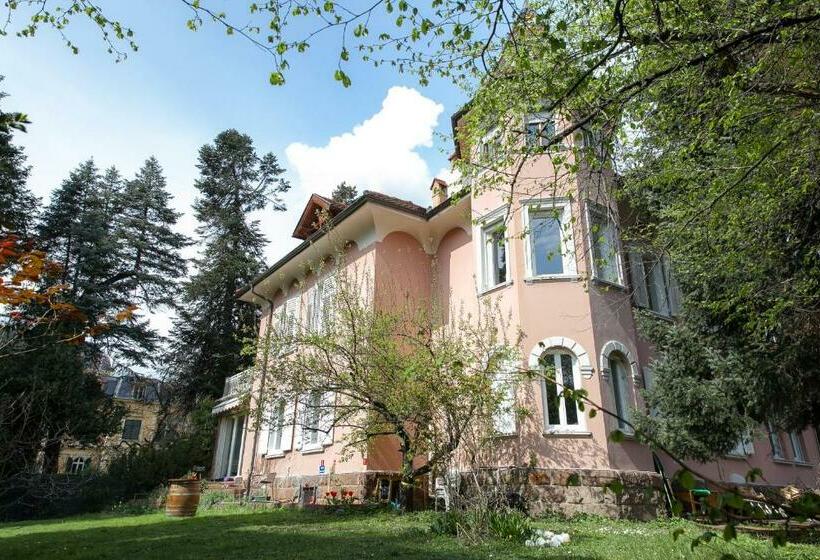 اتاق استاندارد با سرویس بهداشتی مشترک, Villa Anita Rooms