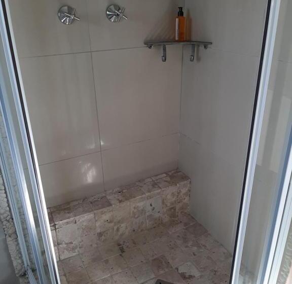 Номер Стандарт, Grootvlei Guest Farm