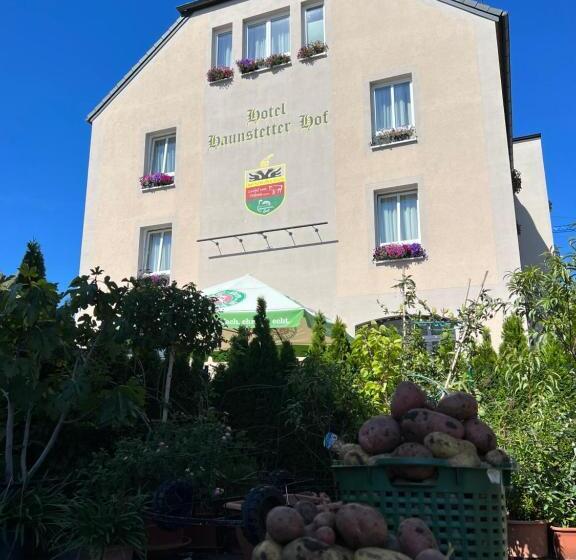 デラックススイート, Haunstetter Hof Augsburg