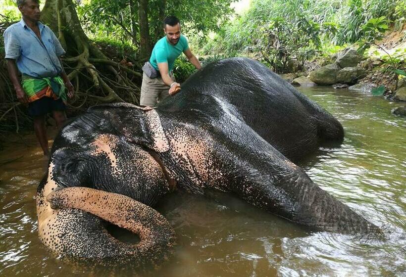 Номер Стандарт, Elephant Reach Villa Pinnawala