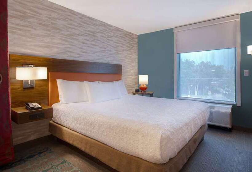 스탠다드 전망 룸, Doubletree By Hilton Corpus Christi Beachfront