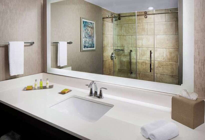 스탠다드 룸 킹사이즈 침대, Doubletree By Hilton Corpus Christi Beachfront