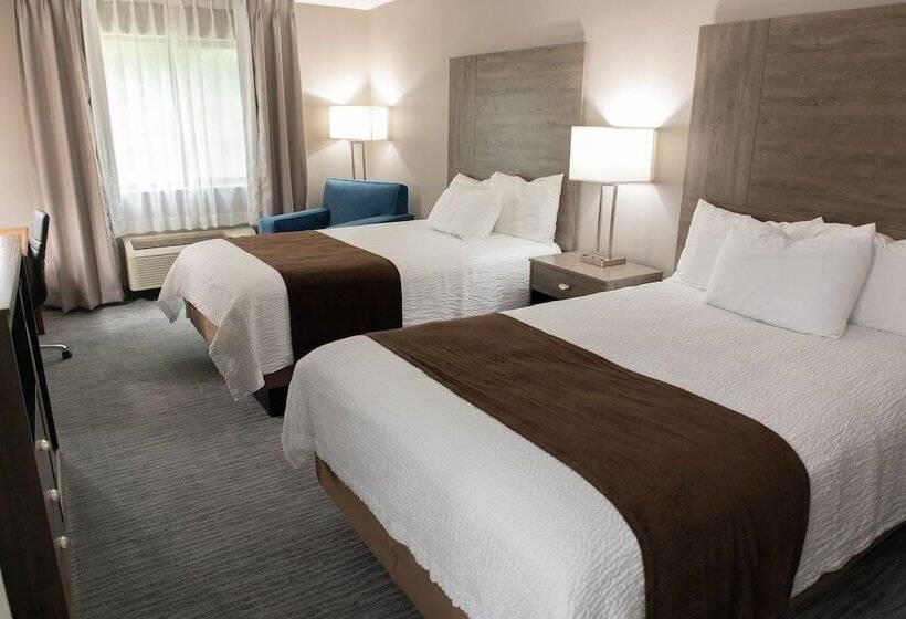 带2个双人床的标准工作室, Lomira Inn And Suites