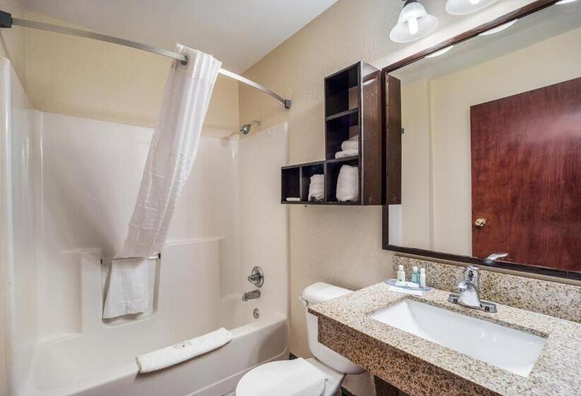 Стандартный Номер Кровать Кинг, Quality Inn & Suites Augusta Fort Eisenhower Area