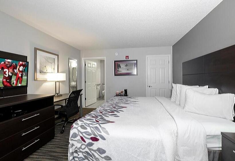 장애인을 위한 킹사이즈 침대 스탠다드 룸, Red Roof Inn Defuniak Springs