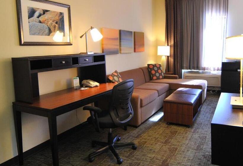 Номер Стандарт Кровать Кинг Адаптированный для Инвалидов, Staybridge Suites Chicago Oakbrook Terrace By Ihg