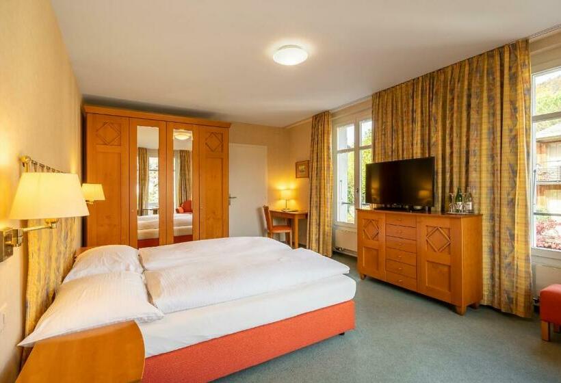 Номер Стандартный с Видом, Schönbühl Hotel & Restaurant Lake Thun