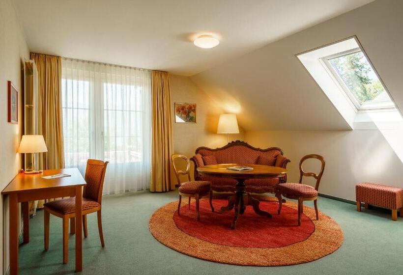 Полулюкс, Schönbühl Hotel & Restaurant Lake Thun