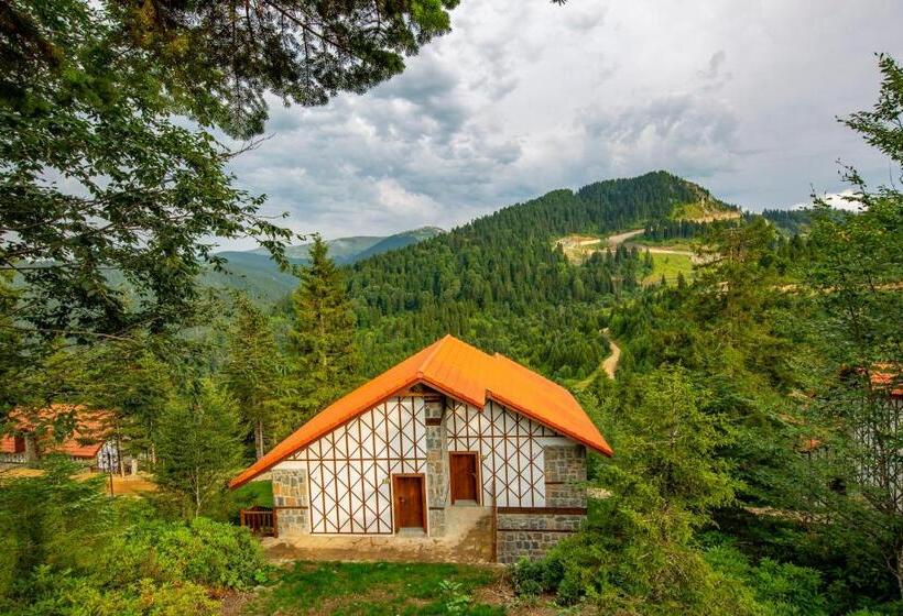 Номер Стандарт, Foleya Mountain Resort Hotel & Villas