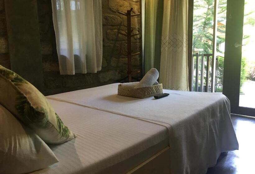 基本间, Ted S Bed And Breakfast
