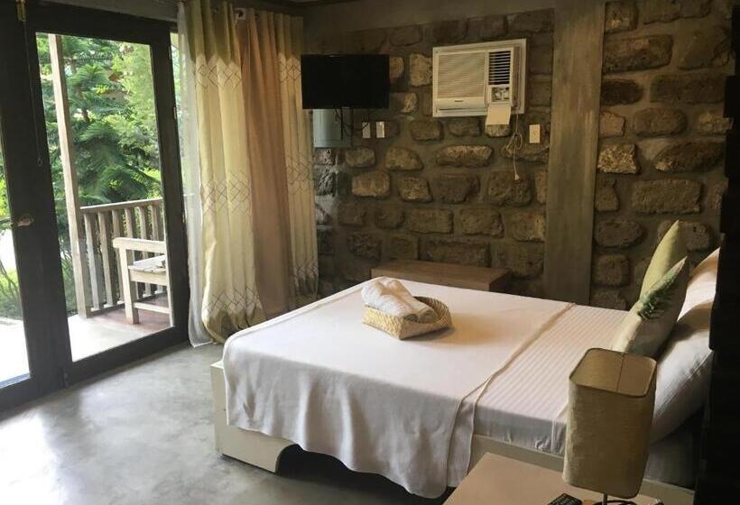 标准间, Ted S Bed And Breakfast