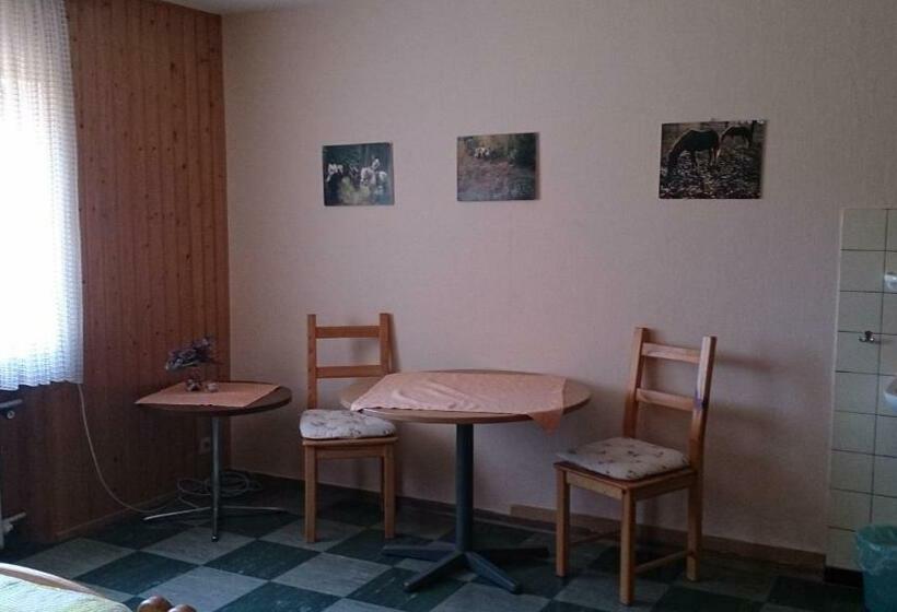 Номер Стандарт, Gästehaus Burgwald Trekking