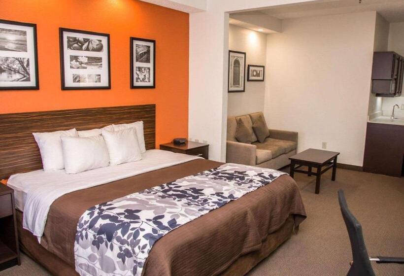 스위트 킹사이즈 침대, Sleep Inn & Suites At Concord Mills