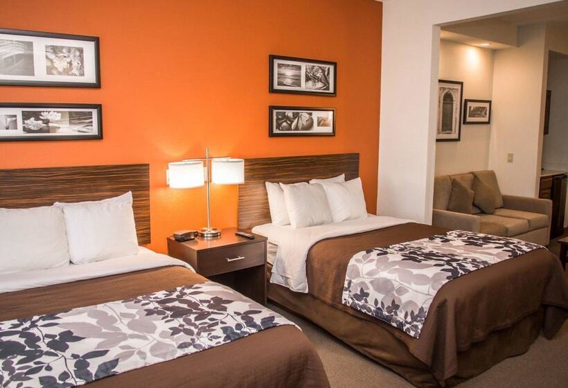 스위트, Sleep Inn & Suites At Concord Mills