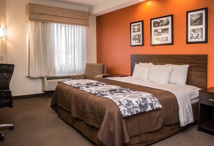 장애인을 위한 스위트, Sleep Inn & Suites At Concord Mills