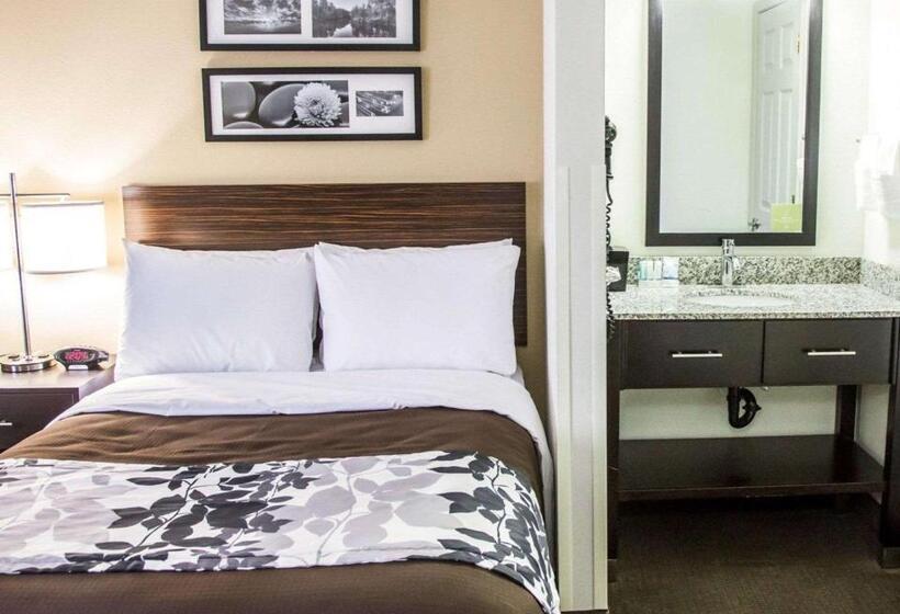 Номер Стандарт 2 Двуспальные Кровати, Sleep Inn Tinley Park I80 Near Amphitheatreconvention Center