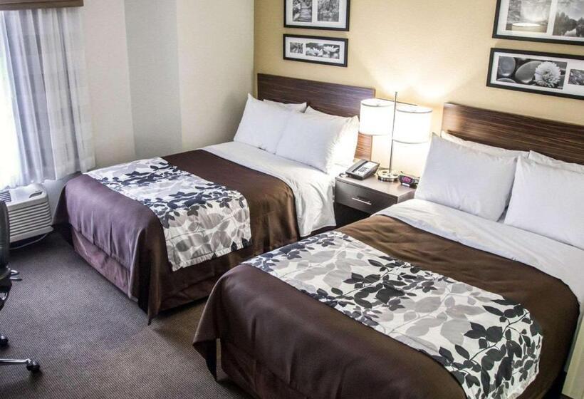Номер Стандарт 2 Двуспальные Кровати, Sleep Inn Tinley Park I80 Near Amphitheatreconvention Center