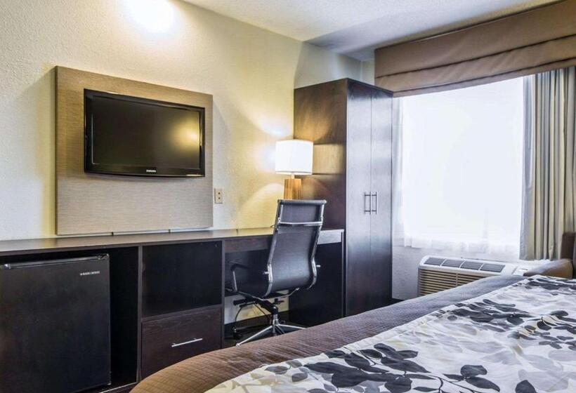 Стандартный Номер Кровать Кинг, Sleep Inn Walterboro I95