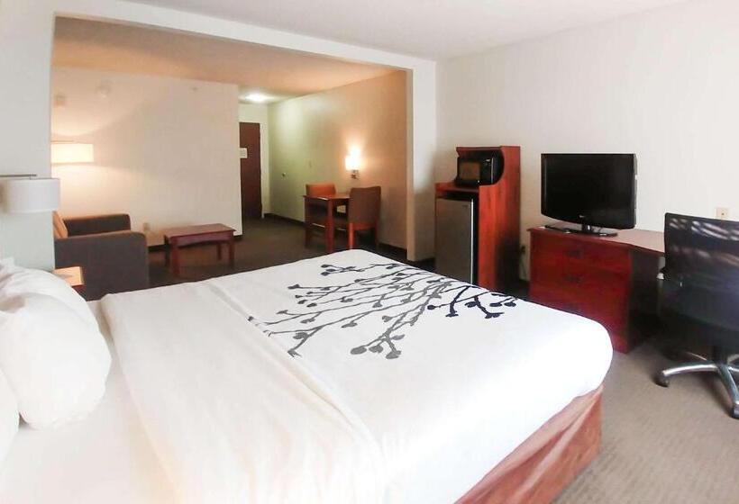 Люкс Deluxe Кровать Кинг, Wingate By Wyndham Dublin Near Claytor Lake State Park
