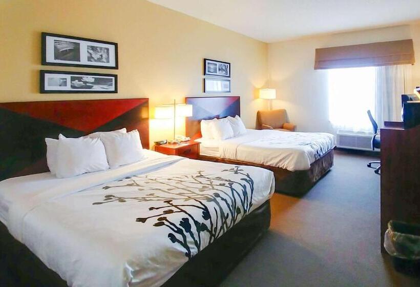 Номер Стандарт, Wingate By Wyndham Dublin Near Claytor Lake State Park