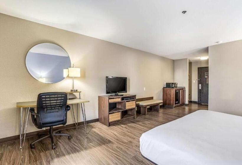스탠다드 룸 킹사이즈 침대, Quality Inn Calvert City  Paducah East