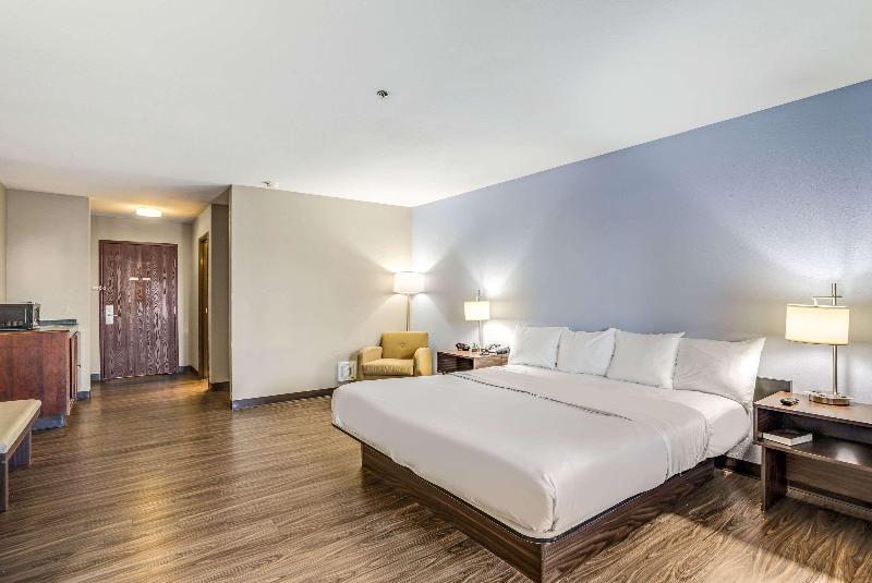 스탠다드 룸 킹사이즈 침대, Quality Inn Calvert City  Paducah East