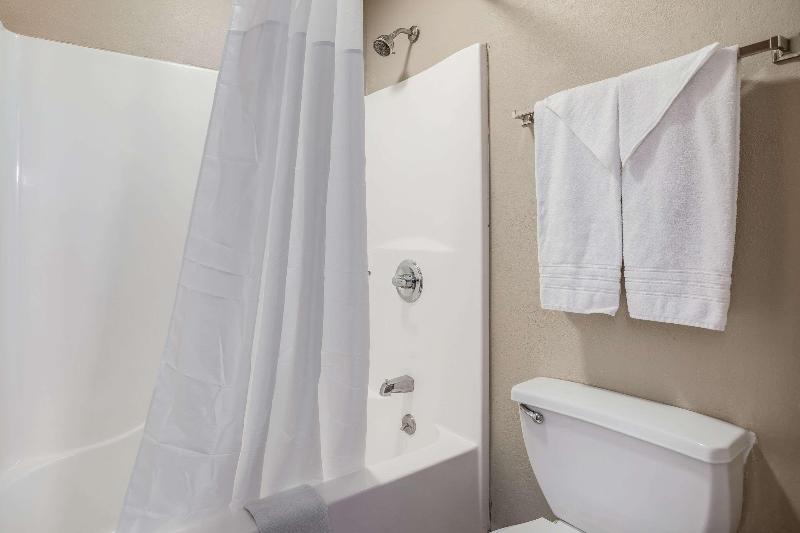 스탠다드 룸 킹사이즈 침대, Quality Inn Calvert City  Paducah East