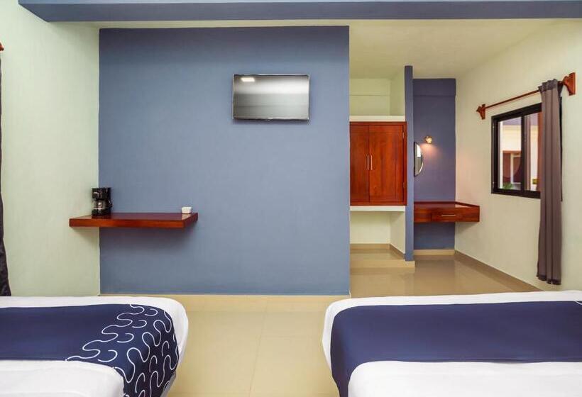 Habitación Estándar, Pejelagarto