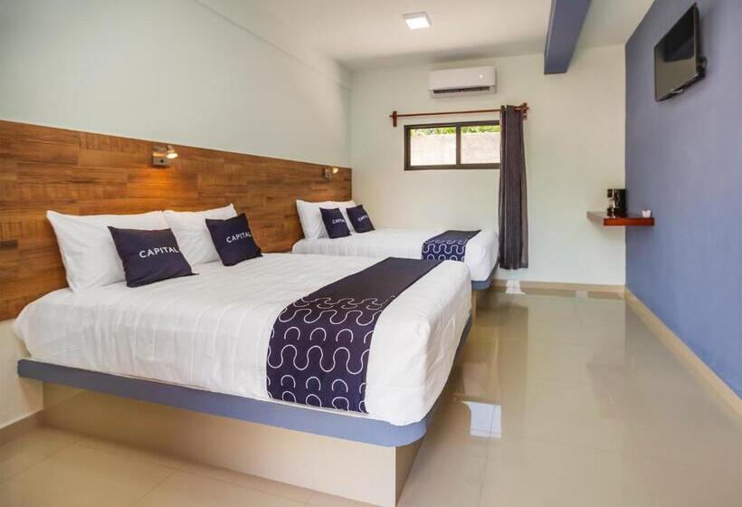 Habitación Estándar, Pejelagarto
