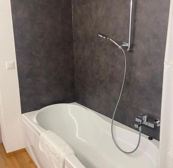 Четырехместный Номер Стандарт, B&b Berninapass