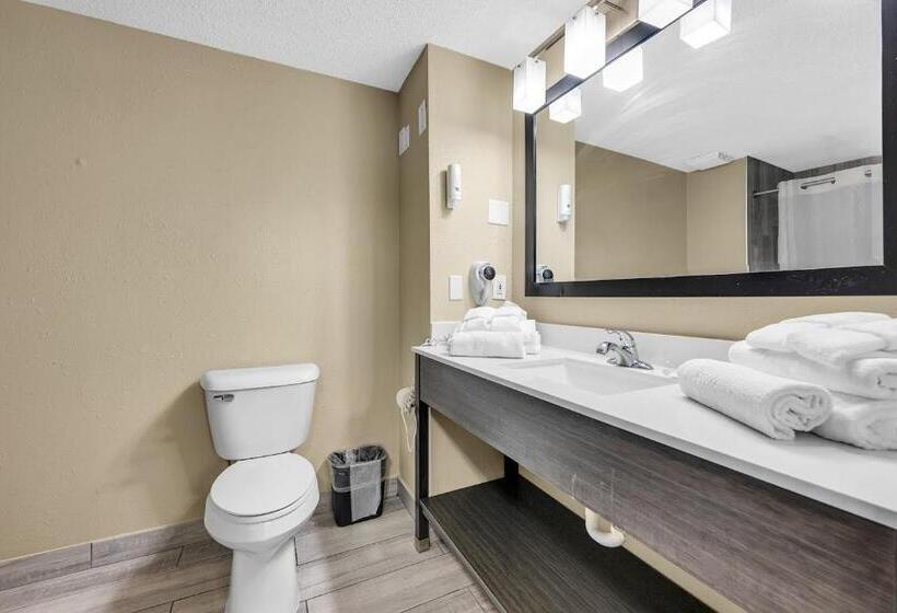 Номер Стандарт Адаптированный для Инвалидов, Quality Inn Roseville Detroit North