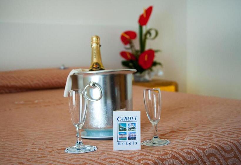 Номер Стандарт, Joli Park Hotel   Caroli Hotels