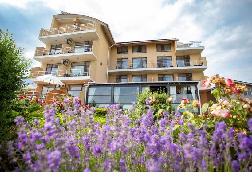 수피리어 테라스 룸, Villa Lavanda