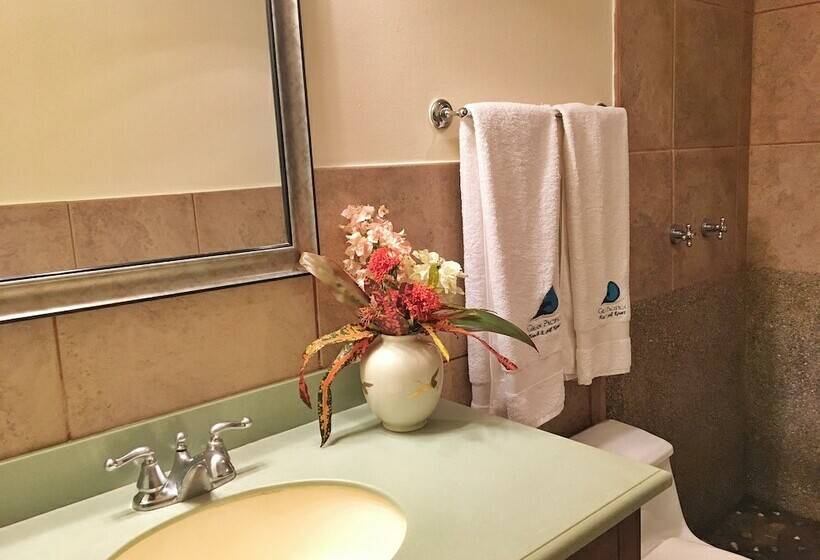 Номер Deluxe Одноместный, Suite Rivas 126 Gran Pacifica Resort