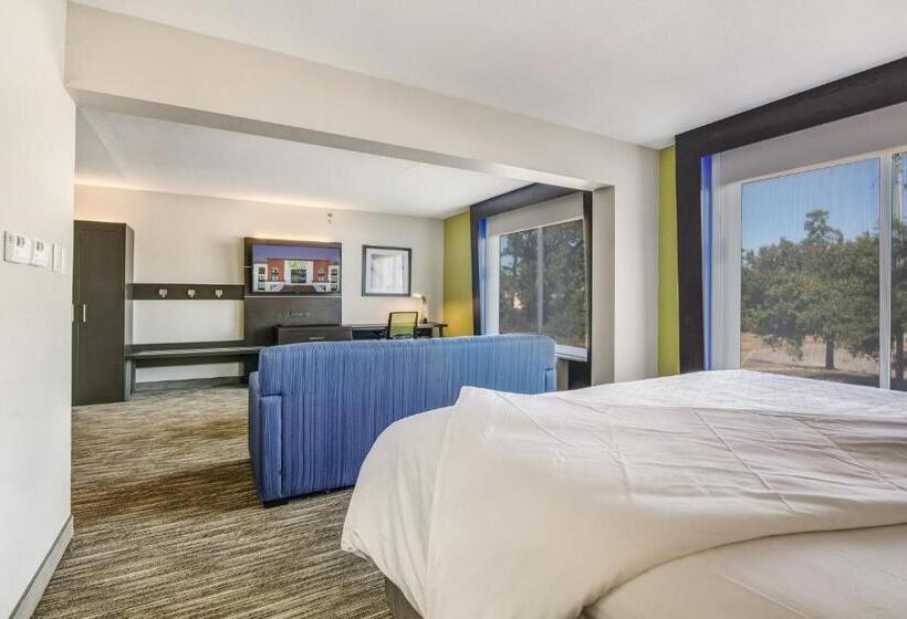 Люкс Кровать Кинг, Holiday Inn Express & Suites Longview North, An Ihg